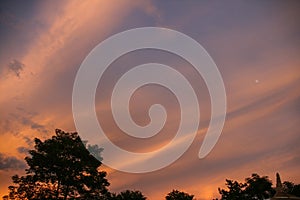 Sunset glow in chitwan,nepal