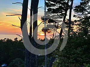 Sunset glows gold and orange through Oregon coast trees