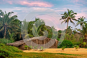 Sunset in Goa with Palmtrees