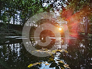 Sunset Golden Hour with sun rays in park with lake and reflection