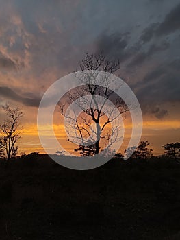 sunset  golden hour  sunsetphotography