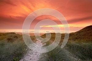 Sunset, grass and pathway to ocean or beach, nature and sand in road. Sea, landscape and environment for walking in