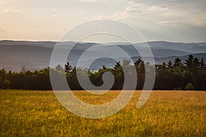 Sunset in Grassy Meadow