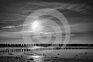 At sunset the groynes rise into the sea in black and white taken. The sun shines