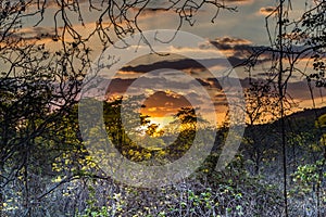 Sunset in the guayacanes forest