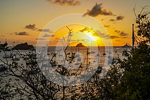 Sunset at Gustavia Harbor, St. Barthelemy photo