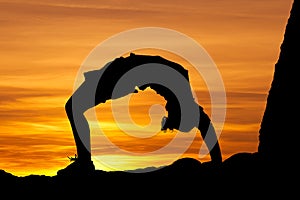 Sunset gymnast