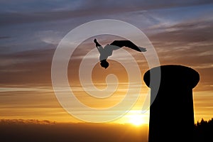 Sunset gymnast