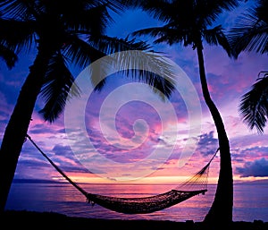 Sunset Hammock