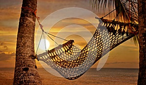 Sunset Hammock