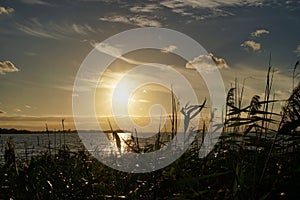 Sunset in Harbolle Havn marina, beach grass in front, Moen Island, Denmark, Europe photo