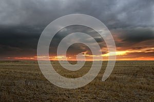 Sunset in the harvested wheat field