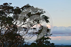 Sunset at Hazelbrook in the Blue Mountains