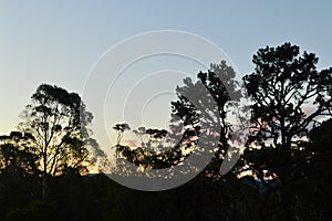 Sunset at Hazelbrook in the Blue Mountains