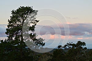 Sunset at Hazelbrook in the Blue Mountains