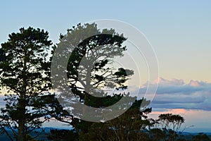 Sunset at Hazelbrook in the Blue Mountains