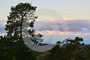 Sunset at Hazelbrook in the Blue Mountains