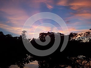 Sunset hidden over the trees.