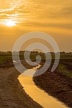 Sunset on the hills and a bed of palm trees in the Amboseli in K