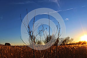 Sunset Horicon Marsh