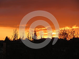 Sunset sunset horizon hidden sun light vegetation photo