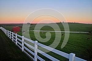 Sunset at Horsebarn Hill