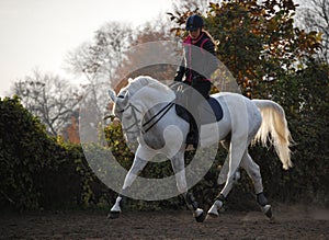 Sunset horseriding