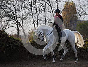 Sunset horseriding