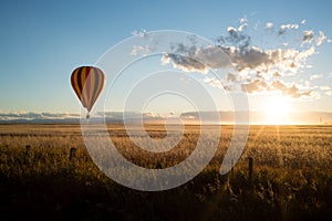 Sunset and a hot air balloon lands in canola in Alberta prairies