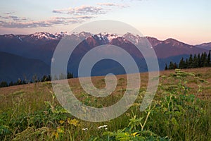 Sunset Hurricane Ridge Olympic Range National Park Washington USA