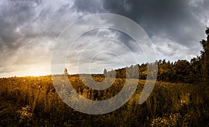 Sunset illuminates the autumn field and forest on a stormy thunder sky