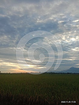 sunset in Indonesian rice fields