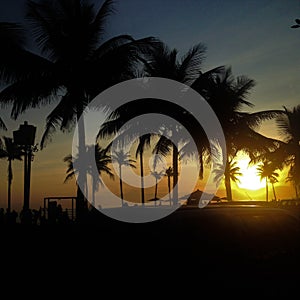 Sunset at Ipanema`s beach with the palms