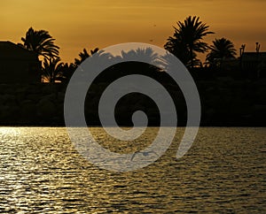 The sunset on the island of Tabarca, on a winter sunset photo