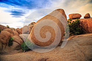 Sunset on the Jumbo Rocks, Joshua Tree National Park, California