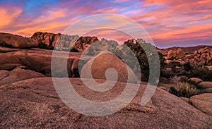 Sunset on the Jumbo Rocks, Joshua Tree National Park, California