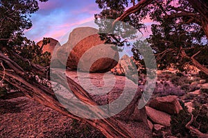 Sunset on the Jumbo Rocks, Joshua Tree National Park, California