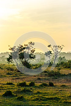 Sunset in the Jungle, Chitwan National Park, Nepal