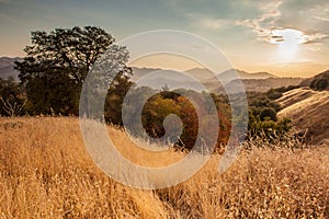 Sunset just outside of Kingâ€™s Canyon National Park in California