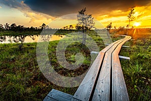 Sunset in Kemeri National Park photo