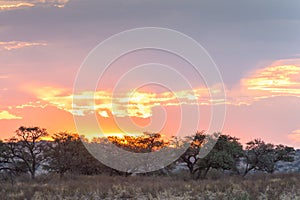 Sunset in Kgalagadi