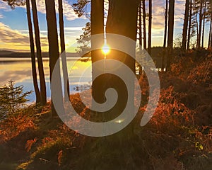 Sunset at Kielder Water, Northumberland Park, England