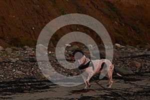 Sunset at Knud beach in Denmark