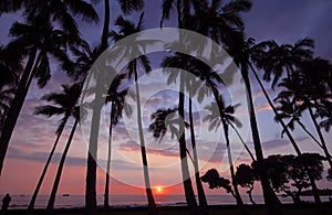 Sunset, Kona, Hawaii photo