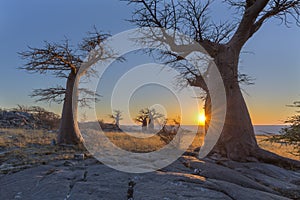 Sunset at Kubu Island