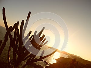 Sunset from the La Entrega lighthouse, Huatulco, MÃÂ©xico. photo