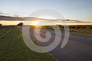 Sunset in la Pampa , Argentina