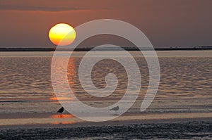 Sunset at the lagoon, Walvisbaai, Namibia