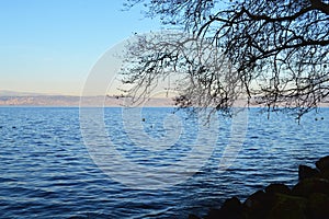 Sunset on the lake, calm water. Lake Geneva at sunset, Evian, France