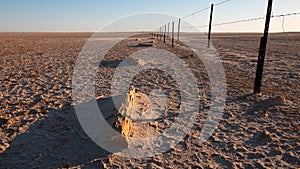 Sunset at Lake Eyre in the Tirari Desert